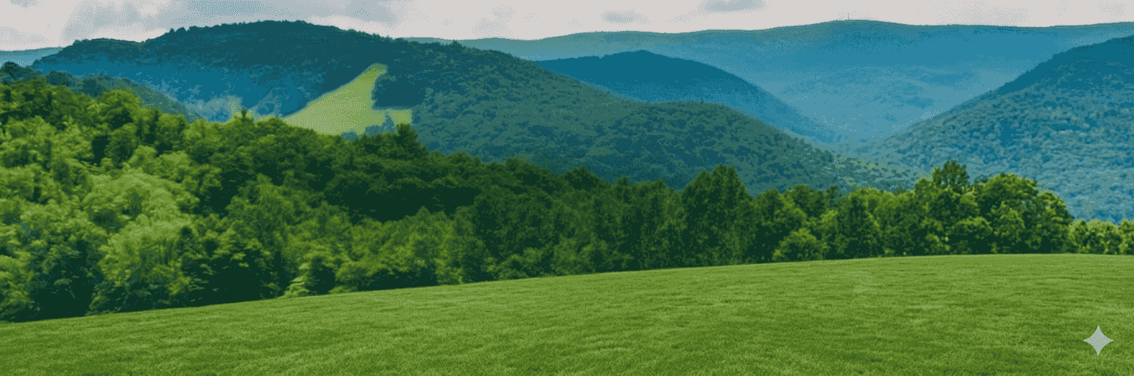 Amish-built shed with Shenandoah Valley mountains in the background